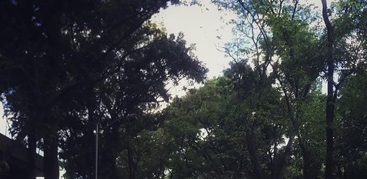 Menyerahkan Diri kepada Allah