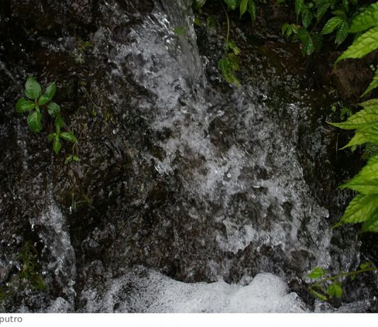 Kemanusiaan yang Baru