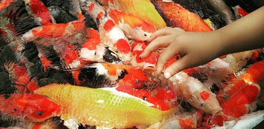 Menjadi Saudara bagi Semua Orang