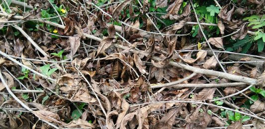 Para Penghambat Rahmat