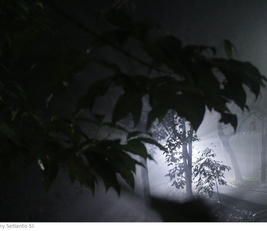 Pengutusan Dua Belas Murid