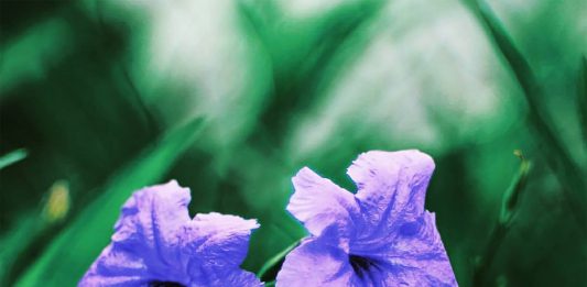 Allah yang Selalu Sabar