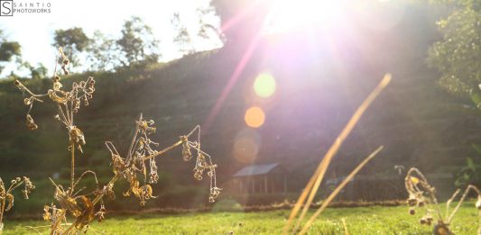 Berdua-dua Menghadirkan Damai