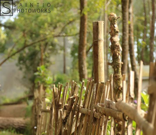 Perlahan-lahan Melihat