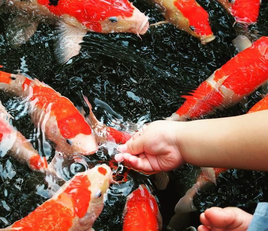 Allah Berkarya dalam Diri Setiap Orang