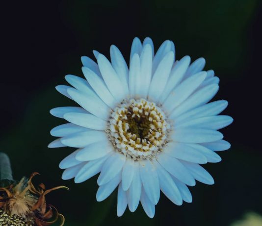 Perubahan yang Membawa Keselamatan