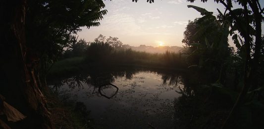 Menyangkal Diri, Memikul Salib, Mengikut Yesus