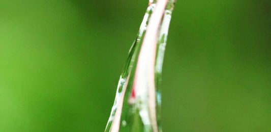 Menjadi Pewarta Kebenaran