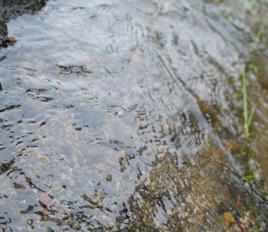 Pengampunan adalah Soal Kualitas