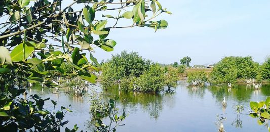 Kehadiran Tuhan Menenangkan Jiwa