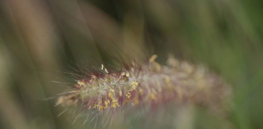 Siapakah Yesus bagi Kita?