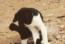 Mengampuni Kesalahan