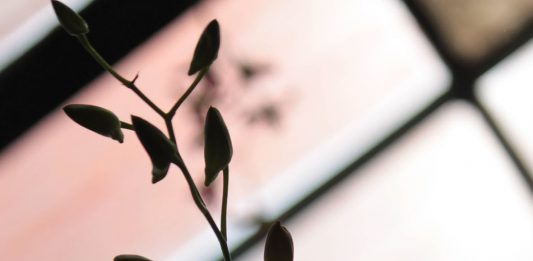 Dukacita yang Mendahului Keselamatan