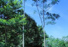 Janji Yesus tentang Kehidupan Kekal