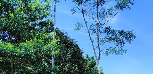 Janji Yesus tentang Kehidupan Kekal