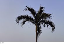 Belajar dari Bendahara yang Tidak Jujur