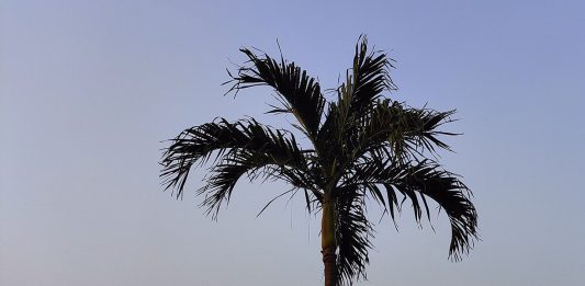 Belajar dari Bendahara yang Tidak Jujur