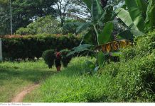 Pakailah Ini untuk Berdagang