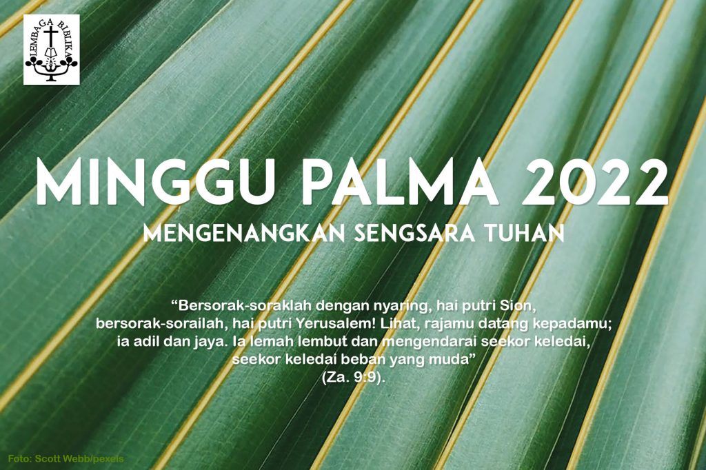 Minggu Palma LBI