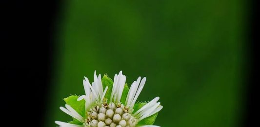 Mengasihi dengan Melayani