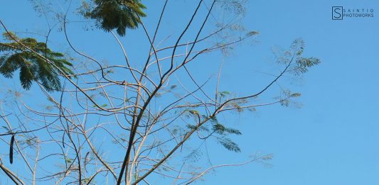 Unta, Anak Muda yang Kaya, dan Kita