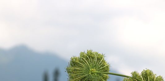 Saat Menangis, Saat Peka dan Sadar