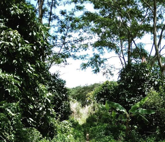 Mengalami Kebahagiaan