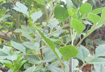 Jangan Takut, Percaya Saja!