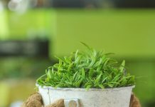 Percaya Adalah Anugerah