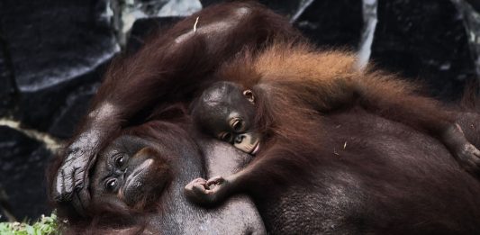 Menuntun atau Dituntun?