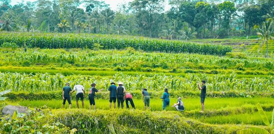Menaklukkan Keinginan Daging
