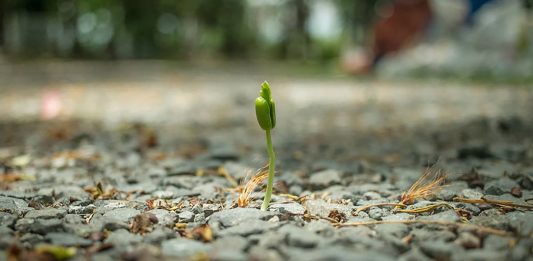 Tuhan Tidak Pernah Meninggalkan Kita