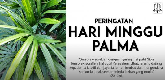 Peringatan Hari Minggu Palma