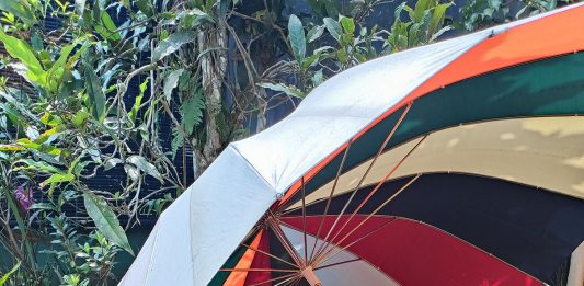 Tanah Mengeluarkan Makhluk Hidup