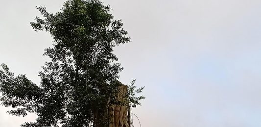 Ular Itu Memperdayaku