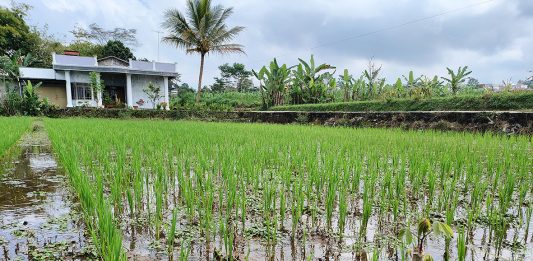 Mengerjakan dan Memelihara