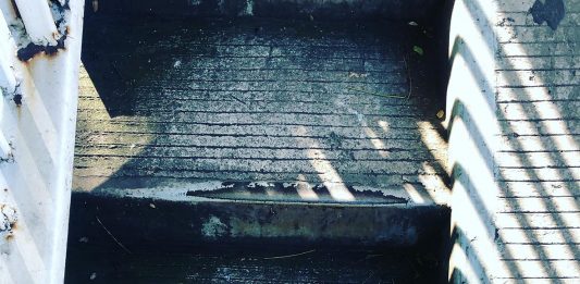 Berikanlah dengan Cuma-Cuma