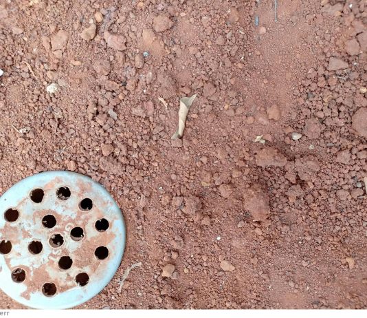 Terkutuklah Tanah karena Engkau