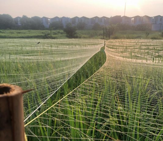 Aku Takkan Membinasakan Lagi