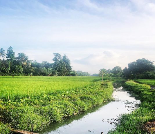 Hagar Pergi Mengisi Kantong Airnya