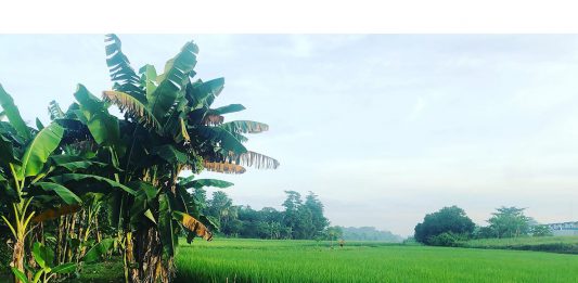 Allah Akan Memberimu Kelimpahan