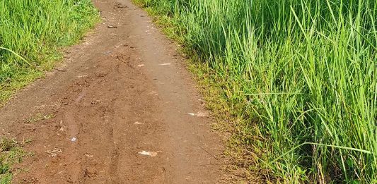 Kediamanmu Akan Jauh dari Tanah Gemuk