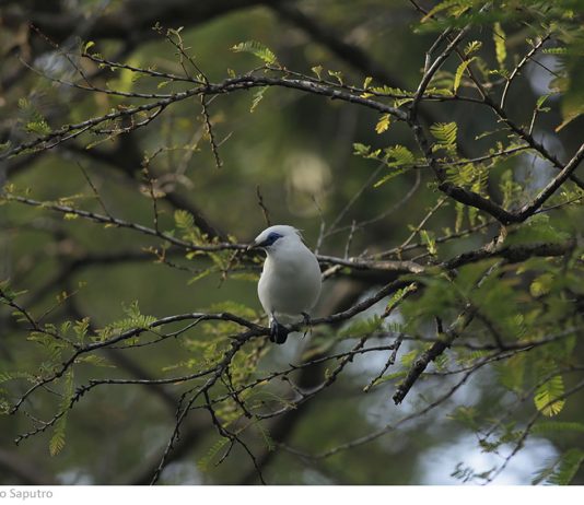 Tuhan Ada di Tempat Ini