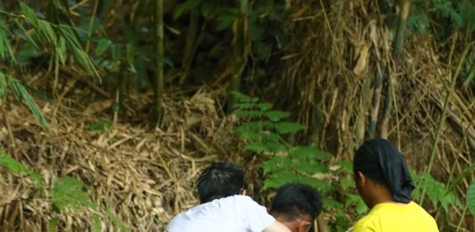 Bersiap Menyambut Kedatangan Sang Putra