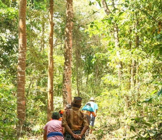 Berbalas Solidaritas