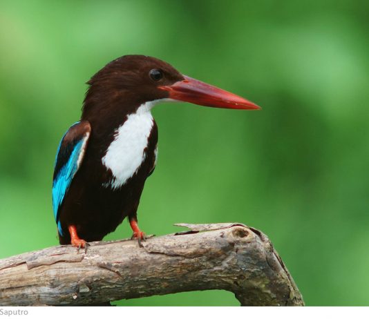 Bersiaplah Engkau dan Larilah ke Haran