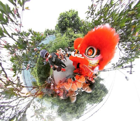 Yehuda bagaikan Anak Singa