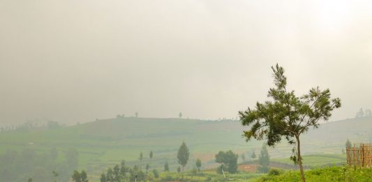 Pergilah ke Seluruh Dunia dan Beritakanlah Injil