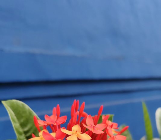 Menemukan Harta Sejati