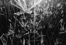 Mengatasi Insting Primitif